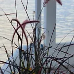 度假居 Lighthouse