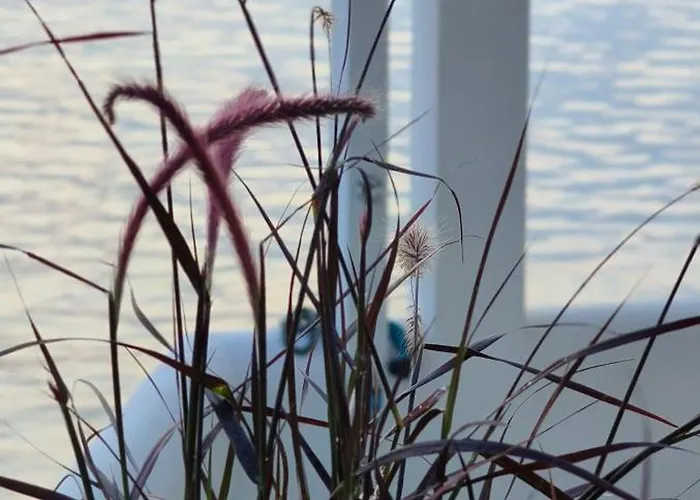 度假居 Lighthouse